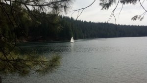 Sailboat on the Lake